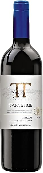 Tantehue Merlot Ventisquero 750ml